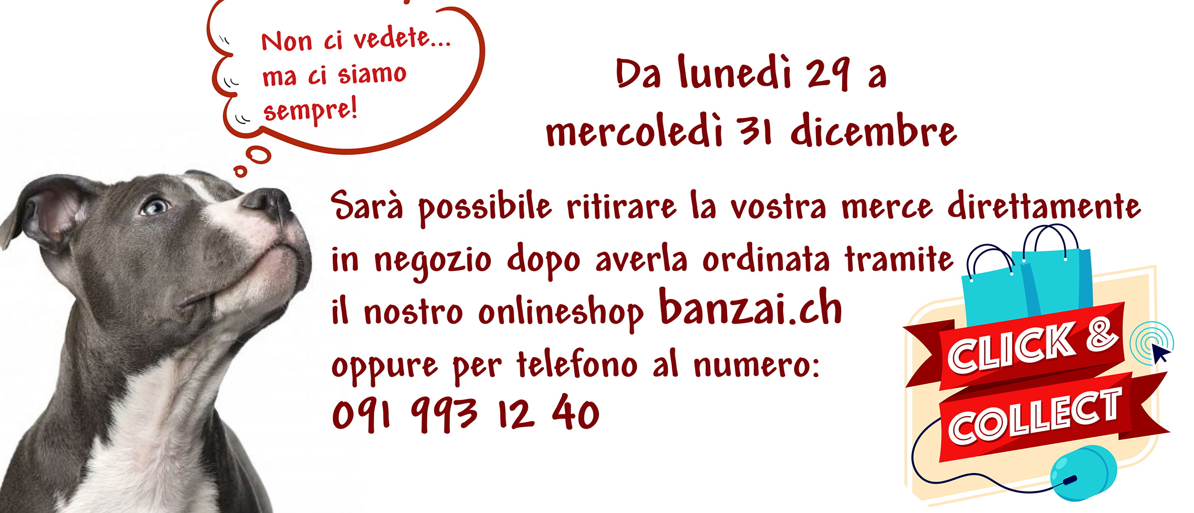 BannerAmicoAnimale-2